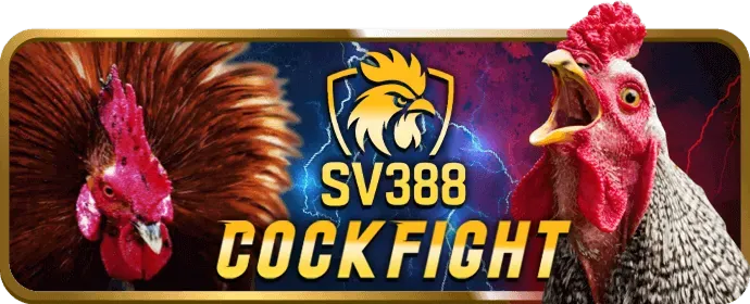 Tải Ứng Dụng VN999 APK